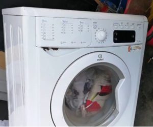 Mașina de spălat Indesit preia apă și nu se spală