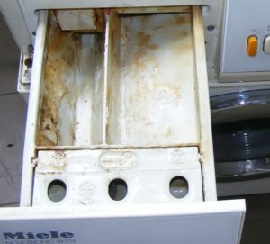 Paano linisin ang kompartimento ng pulbos sa isang washing machine mula sa sukat?