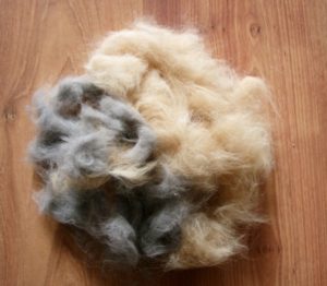 Kā tīrīt dzīvnieku matus no veļas mašīnas?
