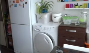 Възможно ли е да инсталирате пералня до хладилник?