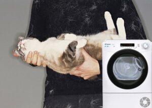 Ako odstrániť vlnu pri praní v práčke