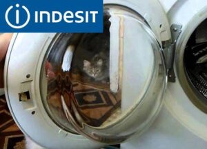 Riparazione sportello lavatrice Indesit